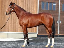 ����å��ǳ��������ɽ�����ޤ�