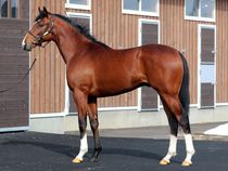 ����å��ǳ��������ɽ�����ޤ�