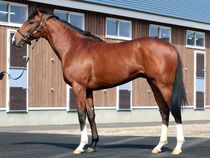 ����å��ǳ��������ɽ�����ޤ�