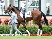 ����å��ǳ��������ɽ�����ޤ�