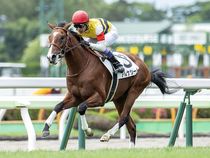 ����å��ǳ��������ɽ�����ޤ�