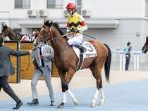 ����å��ǳ��������ɽ�����ޤ�