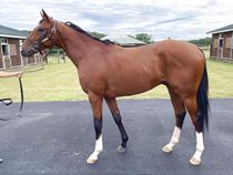 ����å��ǳ��������ɽ�����ޤ�