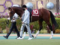 ����å��ǳ��������ɽ�����ޤ�