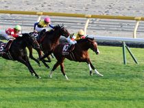 ����å��ǳ��������ɽ�����ޤ�