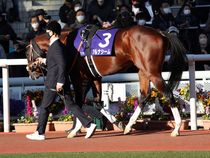 ����å��ǳ��������ɽ�����ޤ�