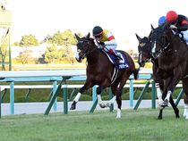 ����å��ǳ��������ɽ�����ޤ�