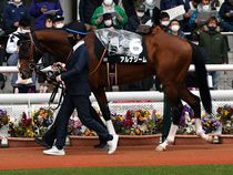 ����å��ǳ��������ɽ�����ޤ�