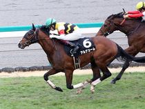 ����å��ǳ��������ɽ�����ޤ�