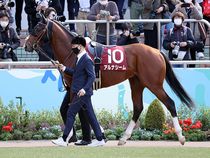 ����å��ǳ��������ɽ�����ޤ�