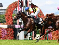 ����å��ǳ��������ɽ�����ޤ�