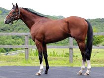 ����å��ǳ��������ɽ�����ޤ�