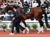 ����å��ǳ��������ɽ�����ޤ�