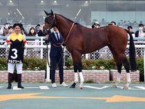 ����å��ǳ��������ɽ�����ޤ�