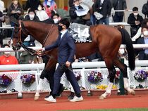 ����å��ǳ��������ɽ�����ޤ�