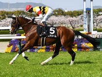 ����å��ǳ��������ɽ�����ޤ�