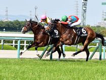 ����å��ǳ��������ɽ�����ޤ�