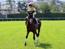 ����å��ǳ��������ɽ�����ޤ�