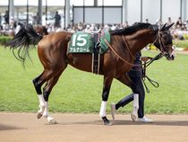 ����å��ǳ��������ɽ�����ޤ�