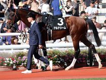 ����å��ǳ��������ɽ�����ޤ�