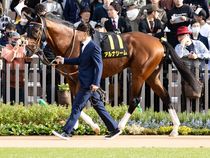 ����å��ǳ��������ɽ�����ޤ�