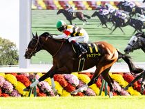 ����å��ǳ��������ɽ�����ޤ�