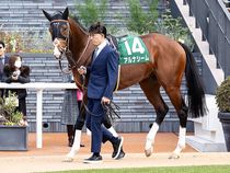 ����å��ǳ��������ɽ�����ޤ�