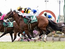 ����å��ǳ��������ɽ�����ޤ�