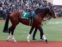 ����å��ǳ��������ɽ�����ޤ�