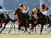 ����å��ǳ��������ɽ�����ޤ�