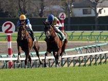 ����å��ǳ��������ɽ�����ޤ�