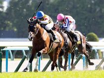 ����å��ǳ��������ɽ�����ޤ�