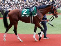 ����å��ǳ��������ɽ�����ޤ�