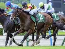 ����å��ǳ��������ɽ�����ޤ�