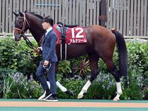 ����å��ǳ��������ɽ�����ޤ�