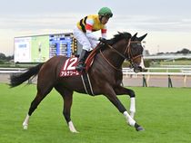 ����å��ǳ��������ɽ�����ޤ�