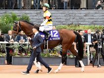 ����å��ǳ��������ɽ�����ޤ�