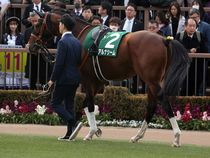 ����å��ǳ��������ɽ�����ޤ�