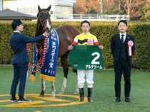 ����å��ǳ��������ɽ�����ޤ�