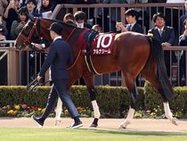 ����å��ǳ��������ɽ�����ޤ�