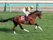 ����å��ǳ��������ɽ�����ޤ�