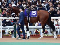 ����å��ǳ��������ɽ�����ޤ�