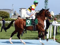 ����å��ǳ��������ɽ�����ޤ�