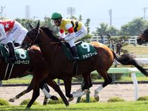 ����å��ǳ��������ɽ�����ޤ�