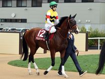 ����å��ǳ��������ɽ�����ޤ�