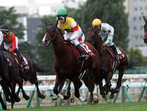 ����å��ǳ��������ɽ�����ޤ�