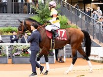 ����å��ǳ��������ɽ�����ޤ�