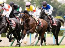 ����å��ǳ��������ɽ�����ޤ�