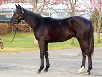 ����å��ǳ��������ɽ�����ޤ�