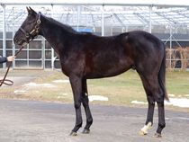 ����å��ǳ��������ɽ�����ޤ�